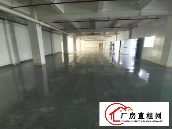 凤岗油甘埔大窝工业区无尘车间2000平方100起分厂房出租
