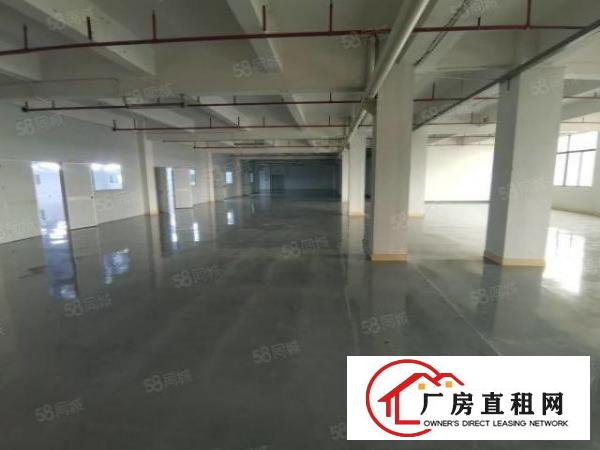  凤岗油甘埔大窝工业区无尘车间2000平方100起分厂房出租
