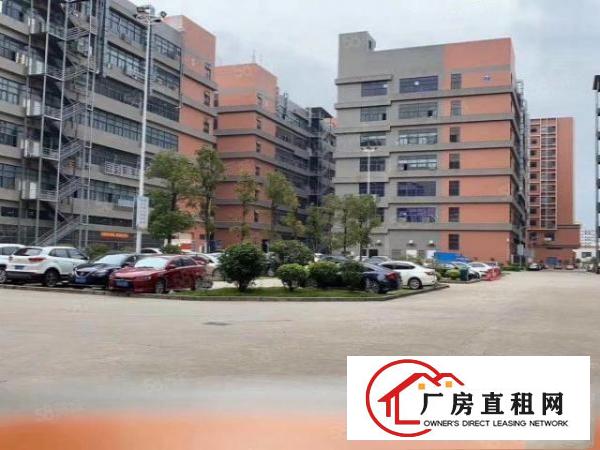  报价15元！凤岗中心楼上1900平方，交通方便，招工易招