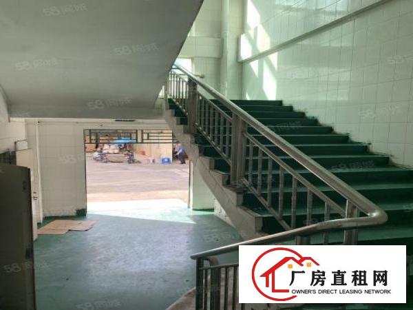  凤岗原房东独院厂房6500平出租现成水电装修地坪漆