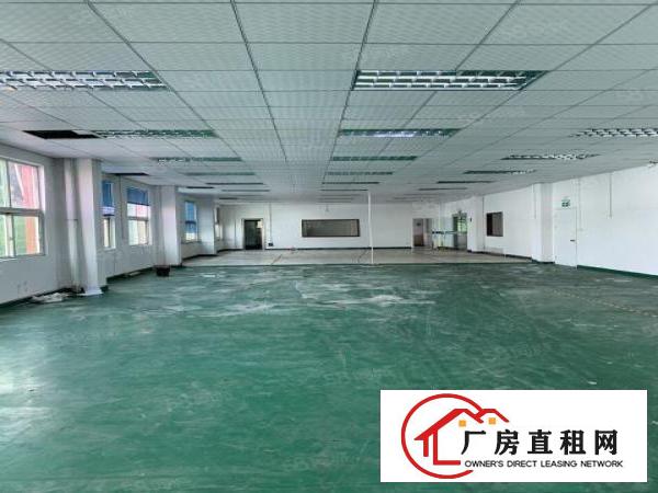  凤岗原房东独院厂房6500平出租现成水电装修地坪漆
