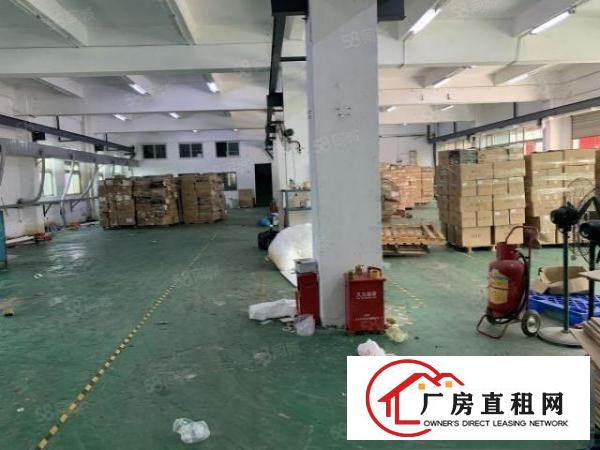  凤岗原房东独院厂房6500平出租现成水电装修地坪漆