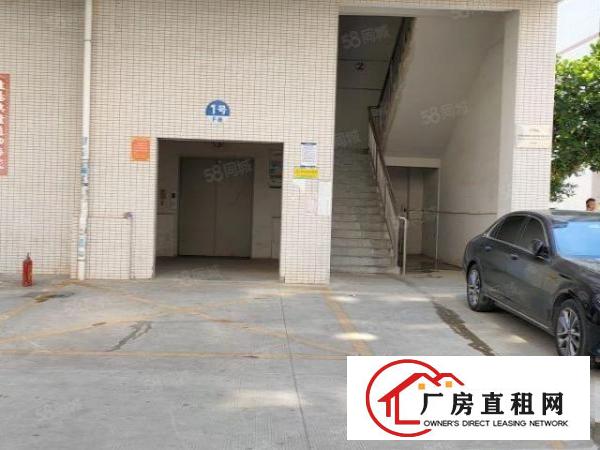  凤岗三联委附近100平200平300平600平精装办公室出租