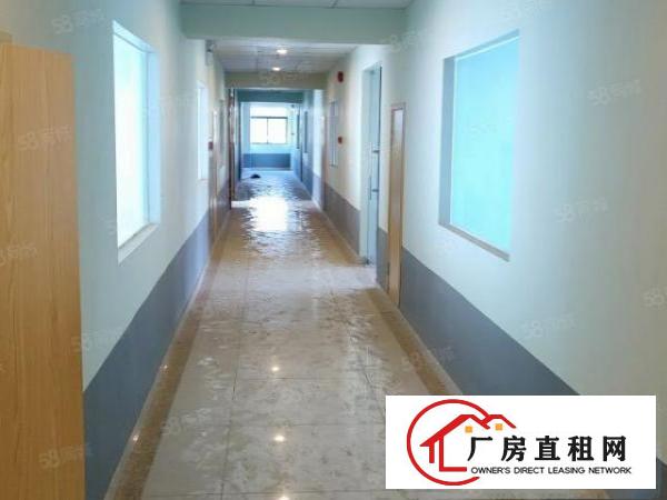  凤岗三联委附近100平200平300平600平精装办公室出租