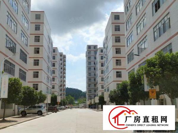  凤岗三联委附近100平200平300平600平精装办公室出租