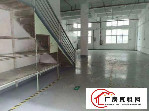  凤岗金凤凰新出一楼标准厂房400平方，高度6米，现成办公室