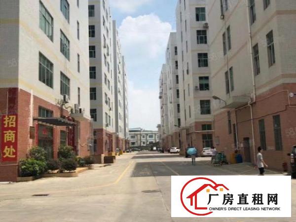  凤岗金凤凰新出一楼标准厂房400平方，高度6米，现成办公室