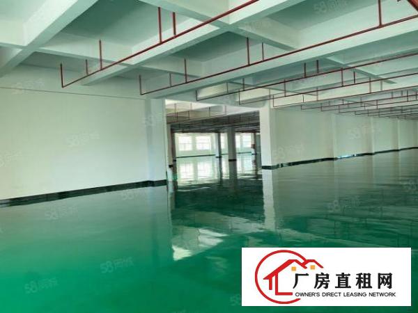  凤岗新出独院全新地坪漆厂房，价格13.9元，合适任何行业，