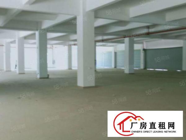  凤岗黄洞玉泉工业新出5800平独院超大空地厂房可整租可分租