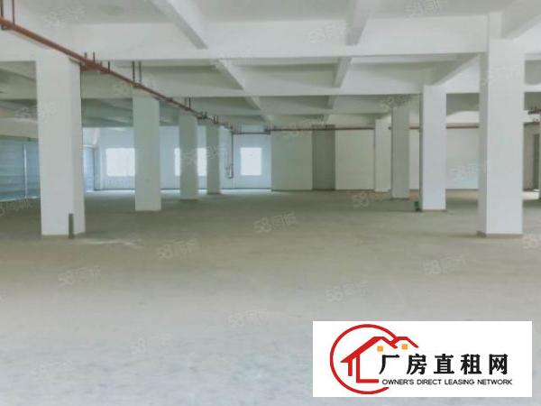  凤岗黄洞玉泉工业新出5800平独院超大空地厂房可整租可分租