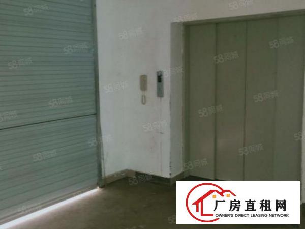  凤岗黄洞玉泉工业新出5800平独院超大空地厂房可整租可分租