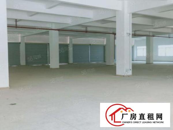  凤岗黄洞玉泉工业新出5800平独院超大空地厂房可整租可分租
