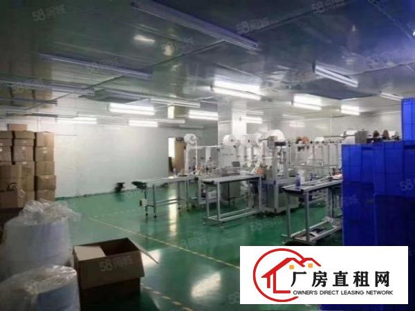  凤岗雁田原房东楼上无尘车间1250平，实际面积出租，价格实惠