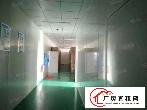  凤岗雁田原房东楼上无尘车间1250平，实际面积出租，价格实惠