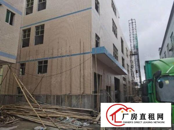 凤岗五联原房东新建小独栋2000平实际面积一楼带牛角位