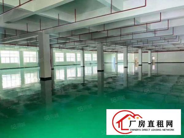 凤岗全新厂房楼上一整层4000平方，全新地坪漆，了分租