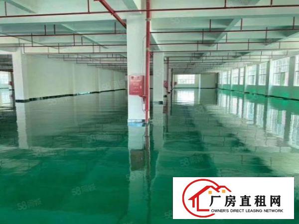  凤岗全新厂房楼上一整层4000平方，全新地坪漆，了分租