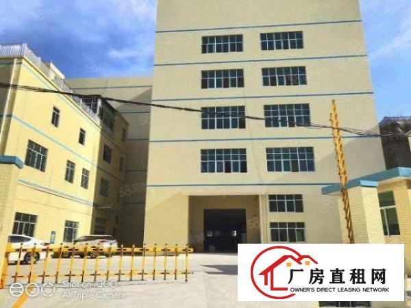  凤岗全新厂房楼上一整层4000平方，全新地坪漆，了分租
