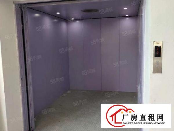  凤岗全新厂房楼上一整层4000平方，全新地坪漆，了分租