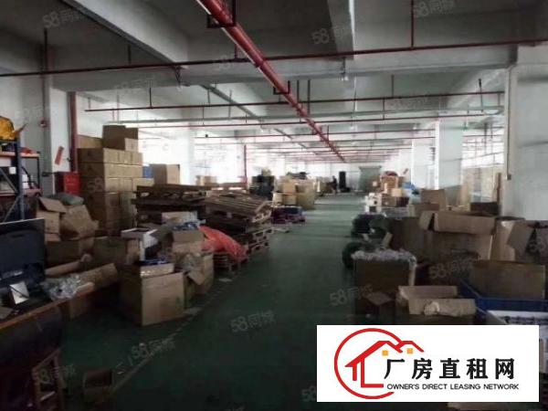  凤岗镇原房东金凤凰楼上带豪华办公室水电精装修1500平方出租
