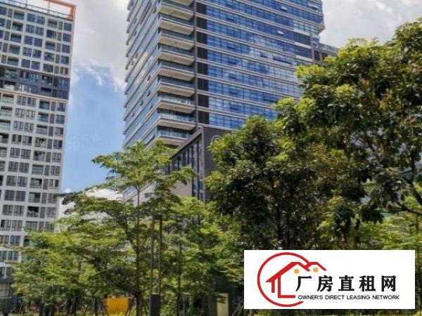  凤岗金凤凰拎包入驻300一500平起租可定制水电办公室地坪漆