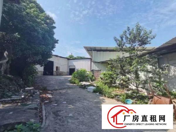  凤岗新出靠山边可做废品破碎抽粒喷粉特殊行业钢结构出租