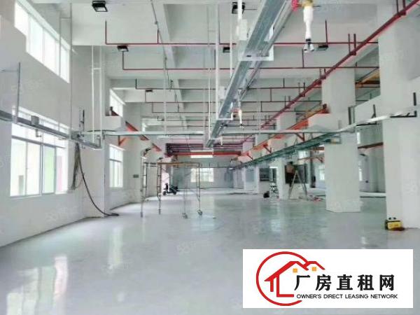  凤岗金凤凰6.5米高一楼厂房出租单层2000平带行车配水电