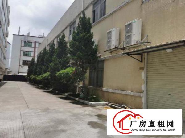  谢坑两层厂房好招工价格好谈