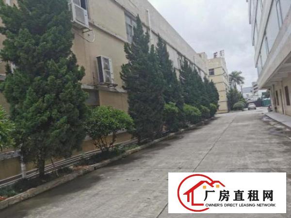  谢坑两层厂房好招工价格好谈