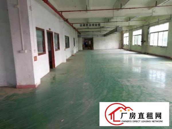  房东独门独院价格可谈