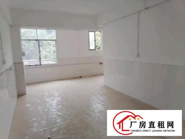  清溪食品小作坊大量单间90-140平招商
