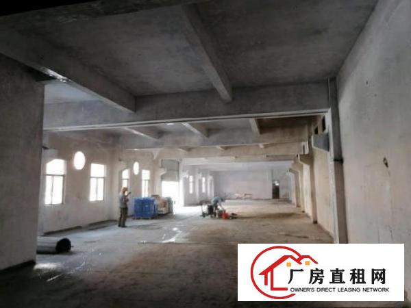  清溪九乡食品创业园一楼厂房1780平，价格实惠