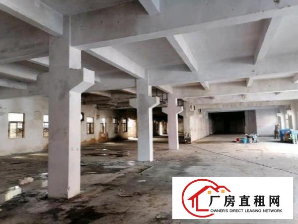  清溪九乡食品创业园一楼厂房1780平，价格实惠