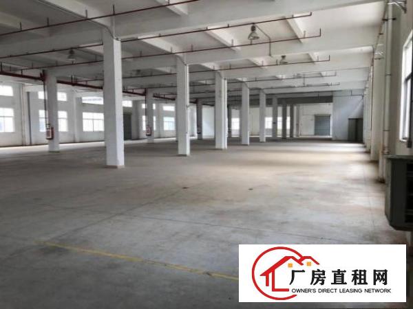  清溪镇三中原房东独院厂房出租
