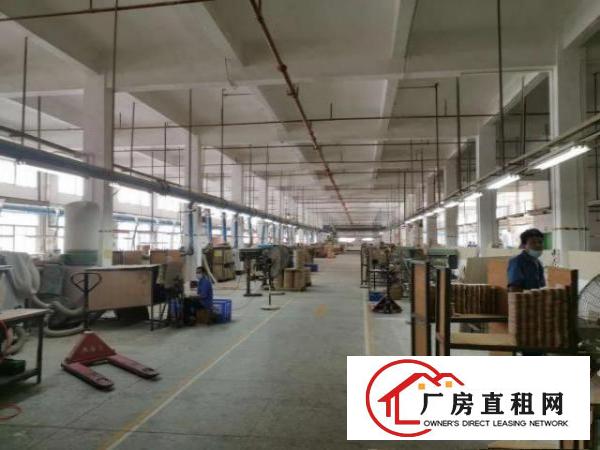  清溪银湖工业区新出原房东一楼2000平现成装修