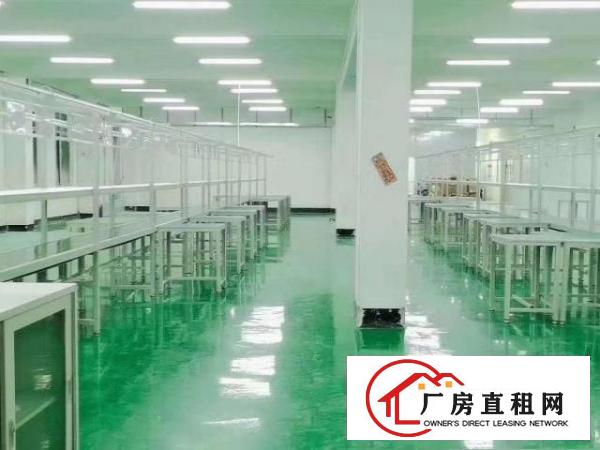  清溪三中工业区新出原房东三楼一整层800平带现成精装修地坪漆