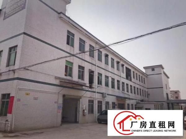  三层标准厂房，配套二部货梯