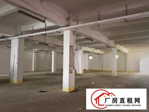  三层标准厂房，配套二部货梯