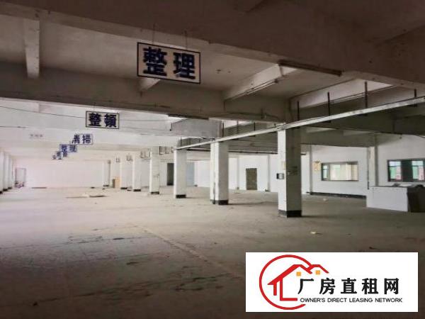  三层标准厂房，配套二部货梯