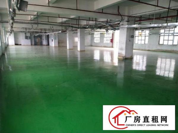  清溪镇新出楼上标准厂房整层1380，现成装修，三吨标准货梯