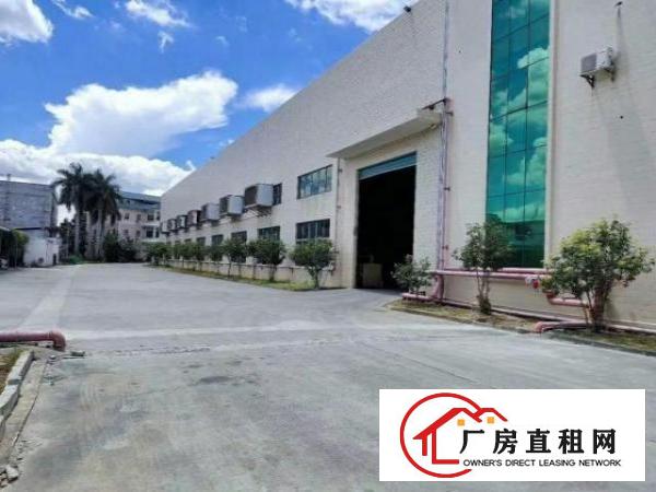  清溪镇银湖工业区新出原房东钢构5500，滴水10米