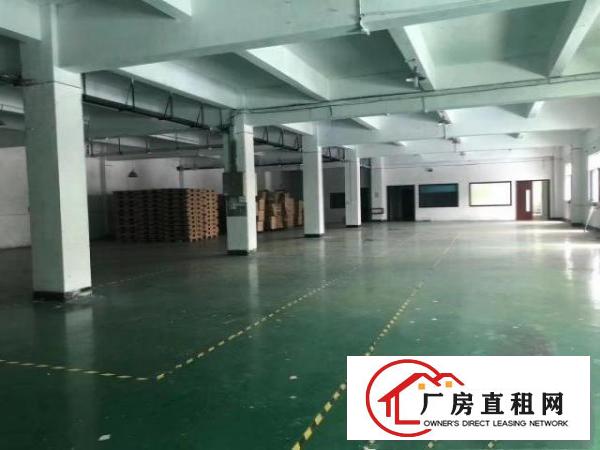  渔梁围管理区新出楼上1500 1200平