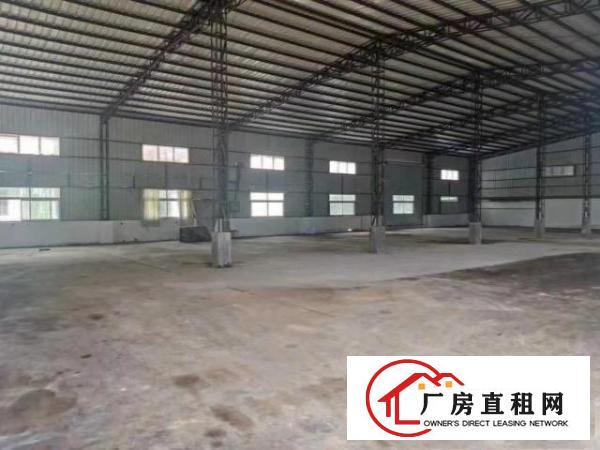  小独院8米高钢结构厂房出租