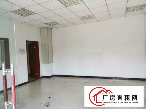  小独院8米高钢结构厂房出租