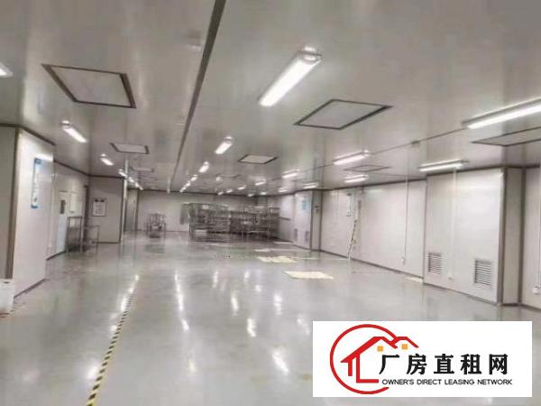  清溪镇一楼精装修无尘车间4600平