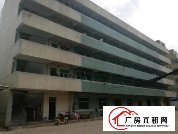  独门独院厂房面积实在