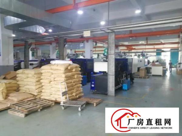  独门独院厂房面积实在