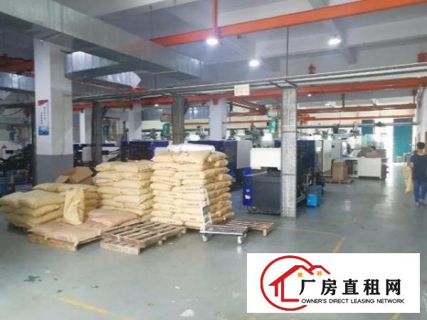  独门独院厂房面积实在
