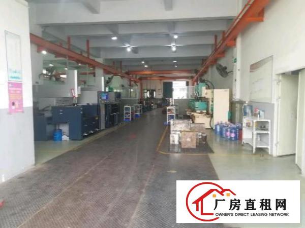  独门独院厂房面积实在