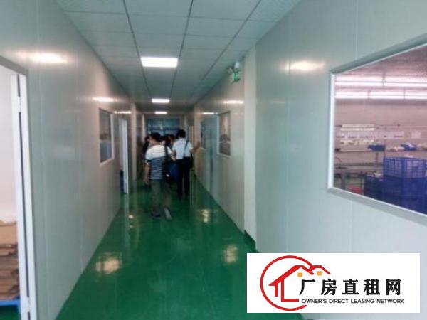  实际面积出租豪华装修